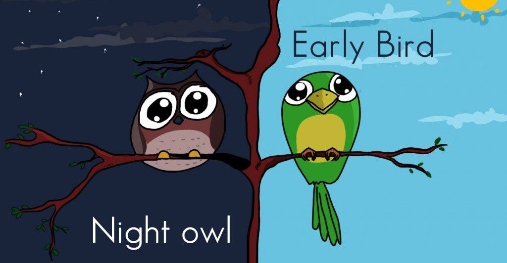 11 Tips To Transform A Night Owl Into An Early Bird