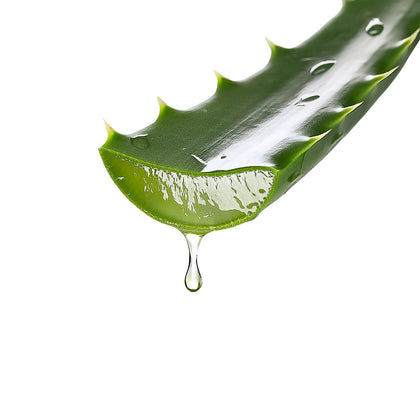Aloe Vera Gel: