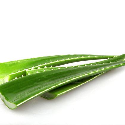 Aloe Vera Leaf Extract