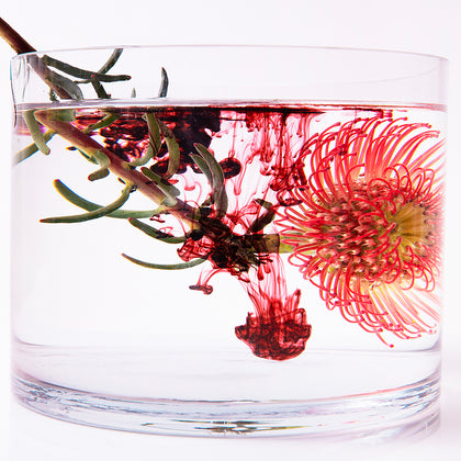 Botanical Extracts 